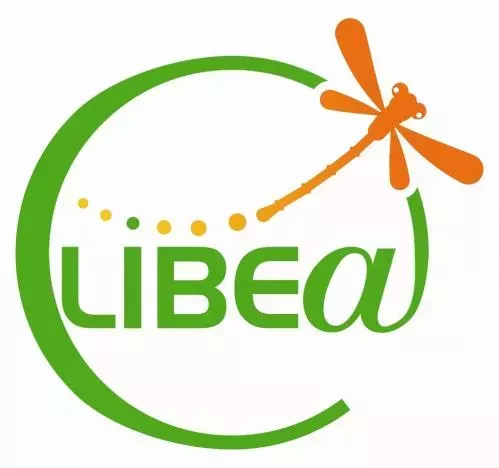 LIBEA logo.jpg
